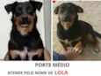Lola