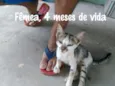 Cinza, Marie....