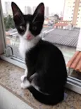 Bolinha bb lindo