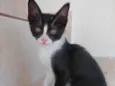 Bolinha bb lindo