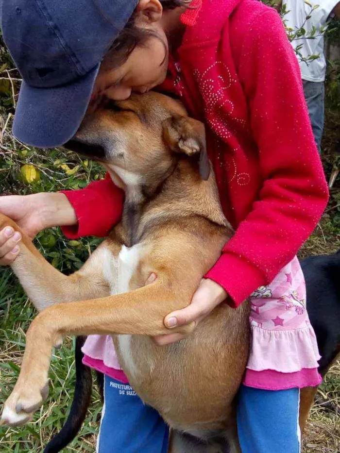 Cachorro ra a Não definimos idade  nome Nana