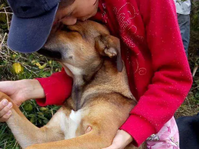 Cachorro ra a Não definimos idade  nome Nana