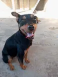 Linda