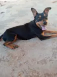 Linda