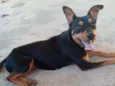 Linda