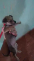 Não definido