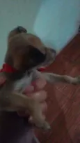 Não definido