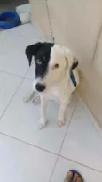 Bob