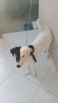 Bob