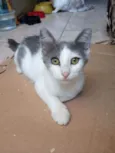 Juba