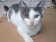 Juba