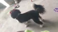 Bella