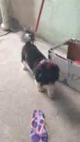 Bella