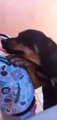 Bella