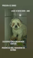 Desconhecido