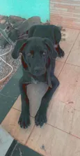 Lex