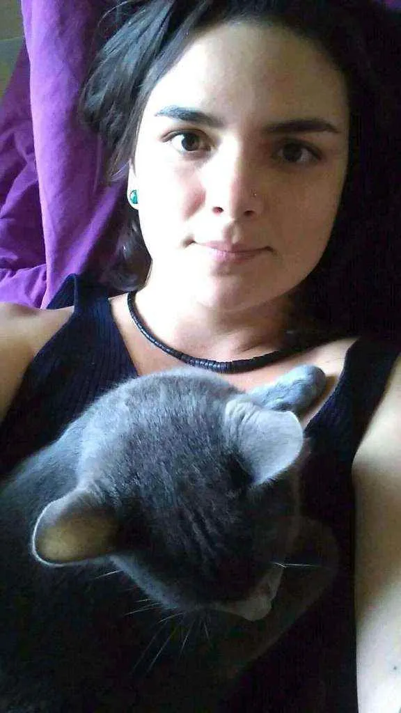 Gato ra a SRD idade 2 anos nome Valente