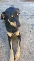Romeu