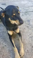 Romeu