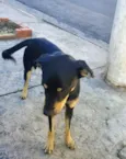 Romeu