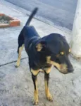 Romeu