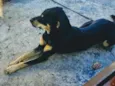 Romeu