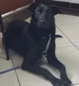 Lua