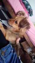 Nina