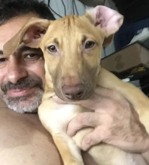 Cachorro ra a SRD-ViraLata idade 7 a 11 meses nome Filhotes para doação