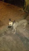 loly
