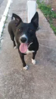 Preta