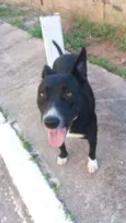 Preta