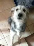 Miguel