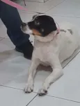 Jully