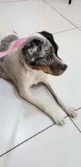 Jully