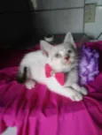 Lili