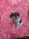 Khloe