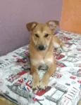 Princesa