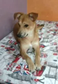 Princesa