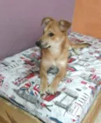 Princesa