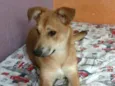 Princesa