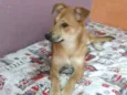 Princesa