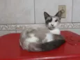 Mel