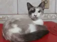 Mel