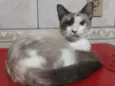 Mel