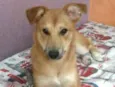 Princesa