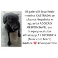 Neguinha