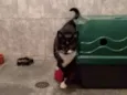 à escolher