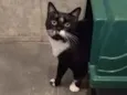 à escolher