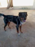 Duke